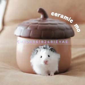 헤이즐넛 시리즈 세라믹 햄스터 하우스 여름 냉각 둥지 작은 동물 케이지 조경 용품 쥐 액세서리