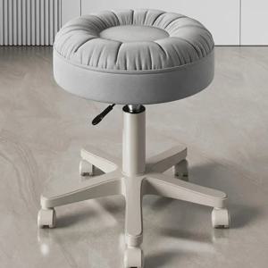 메이크업 의자, 가벼운 럭셔리 하이 엔드 여성 침실, 새로운 스타일의 드레싱 의자, 현대적이고 간단한 소형 네일 살롱 의자