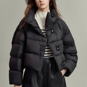 2025년 겨울 여성용 패션 스탠드 칼라 파카, 싱글 브레스티드 숏 파카 재킷, 여성용 두꺼운 보온 아우터