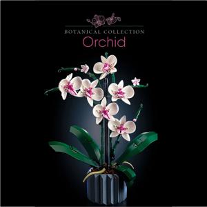 난초 꽃 꽃다발 식물 장식 빌딩 블록 모델 10311 가정이나 사무실 생일 및 크리스마스 선물을위한 디스플레이 조각