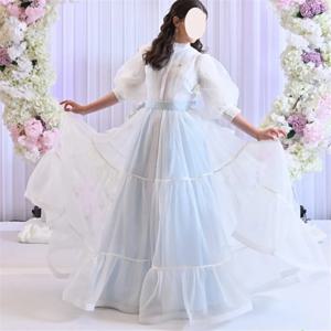 하늘색 얇은 명주 그물 소녀 가운, 푹신한 치마, 꽃 소녀 드레스, 프릴 작은 소녀 웨딩 파티 드레스