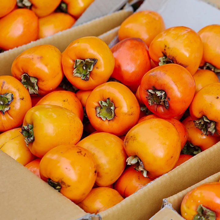 햇 대봉감 중대과 홍시감 곶감용 대봉시