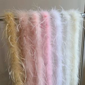 도매 20g 타조 깃털 보아 2m 다채로운 깃털 스카프 댄스 공연 파티 장식 DIY 의류 액세서리