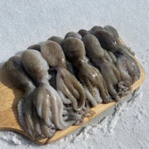 [푸디앤] 대왕 선동 급냉 쭈꾸미 1kg /중국산/쭈꾸미는 커야 제맛!