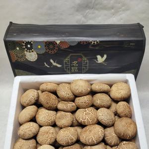 [푸디앤] 국내산 생 표고버섯 2-4kg / 당일수확,농장직송 ,맛과 향이 우수,버섯중 으뜸