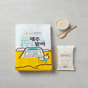 킹덤라이스 산듸 제주밭쌀 4kg (500 x 8) 소포장쌀 미호쌀