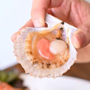 통영 세척 홍가리비 비단가리비 1kg 조개구이