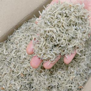 가락시장 멸치 20종 골라담기 멸치 모음전