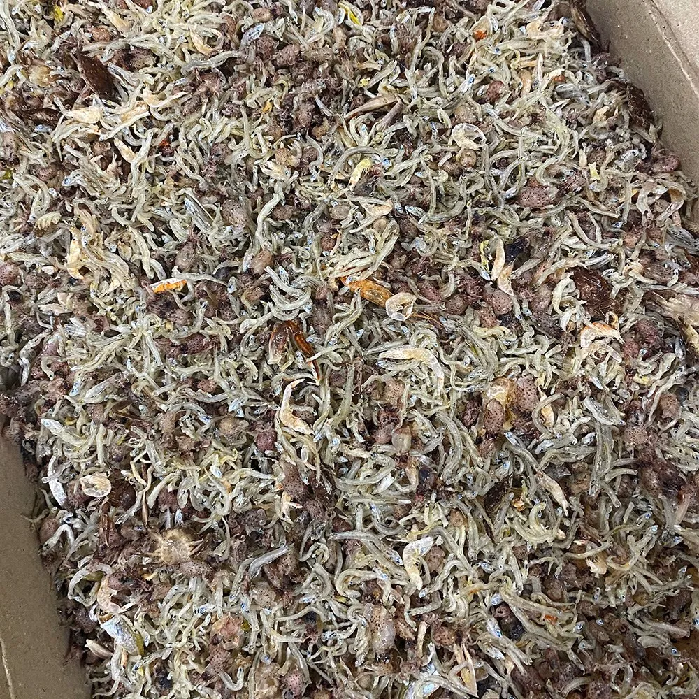 국내산 게 멸치 섞인 혼합 꼴뚜기 볶음용 건어물 믹스 1.5kg