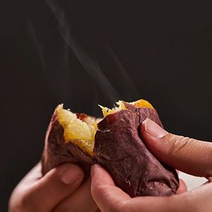 [사계별미] 해남 베니하루카 꿀 고구마 호박 밤고구마