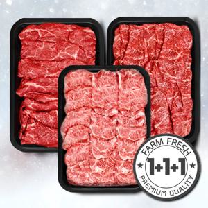 1++ 투뿔 한우 오늘 신선 로스 소고기 구이 특수 모둠 600g