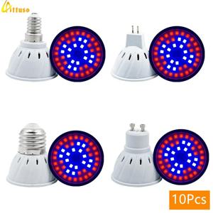 LED 성장 전구, 전체 스펙트럼 식물 램프, 레드 블루 UV IR, 성장 텐트 온실 조명용, AC 220V, E14, E27, MR16, GU10, 10 개