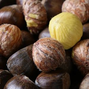 달콤한 영양간식 구워먹는 칼집 약단밤 3kg