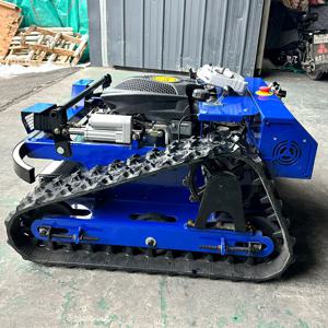 맞춤형 뜨거운 판매 CE EPA 원격 제어 잔디 깎는 기계 작은 크롤러 모어 정원 Agricu에 대한 모든 지형 원격 제어 잔디 깎는 기계