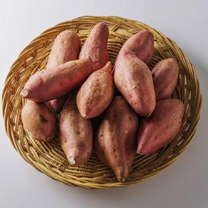 늘바른 국산 친환경 무농약 달수고구마800g 3봉