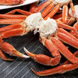 왕왕특대(4XL) 스노우크랩(박달대게) 2봉(2미,4쪽) 1.2~1.8kg｜자숙손질 스노우크랩섹션