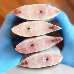 왕왕특대(4XL) 손질 은빛갈치 한마리 2봉(2미,8토막) 1.2~1.5kg｜1토막 150~200g 갈치조림소스 320g