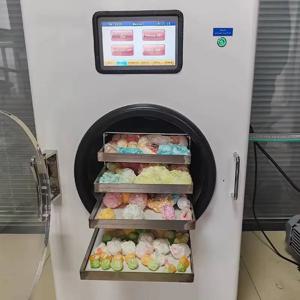 고품질 식품 건조 동결 건조기 가정용 무오일 진공 펌프 가정용 동결 건조기