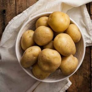 [푸디앤] 국내산 25년 햇 감자 1kg-10kg / 포슬포슬 고소