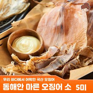 국산 동해안 마른 오징어 소 5미 250g 내외 / 영덕 포항 오징어 건오징어