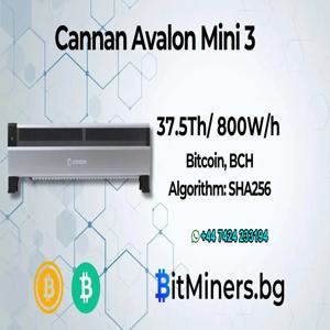 DC 뉴 카나안 아발론 미니 3 BTC 히터 마이너 800W 37.5 TH/s 비트코인 ​​ASIC 이중 기능 - 독점적이고 대규모 판매! ???? ????