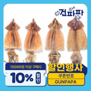 [품질보증]국내산 동해 마른오징어 대 5미(마리당 60g)