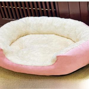 준다이 겨울용 두꺼운 고양이 강아지 침대 장난감 테디베어 모양 방한망 시암 및 포메라니안 전용 풀사이즈