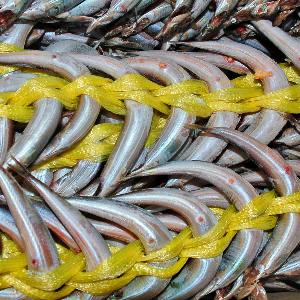 동해안 제철 동해안 양미리 1두름 20미, 2두름 40미