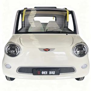   성인용 전기 사륜차: 최고 속도 45km/h, 주행 거리 80km, 이중 브레이크 – 일상 통근 및 식료품 쇼핑에 안전