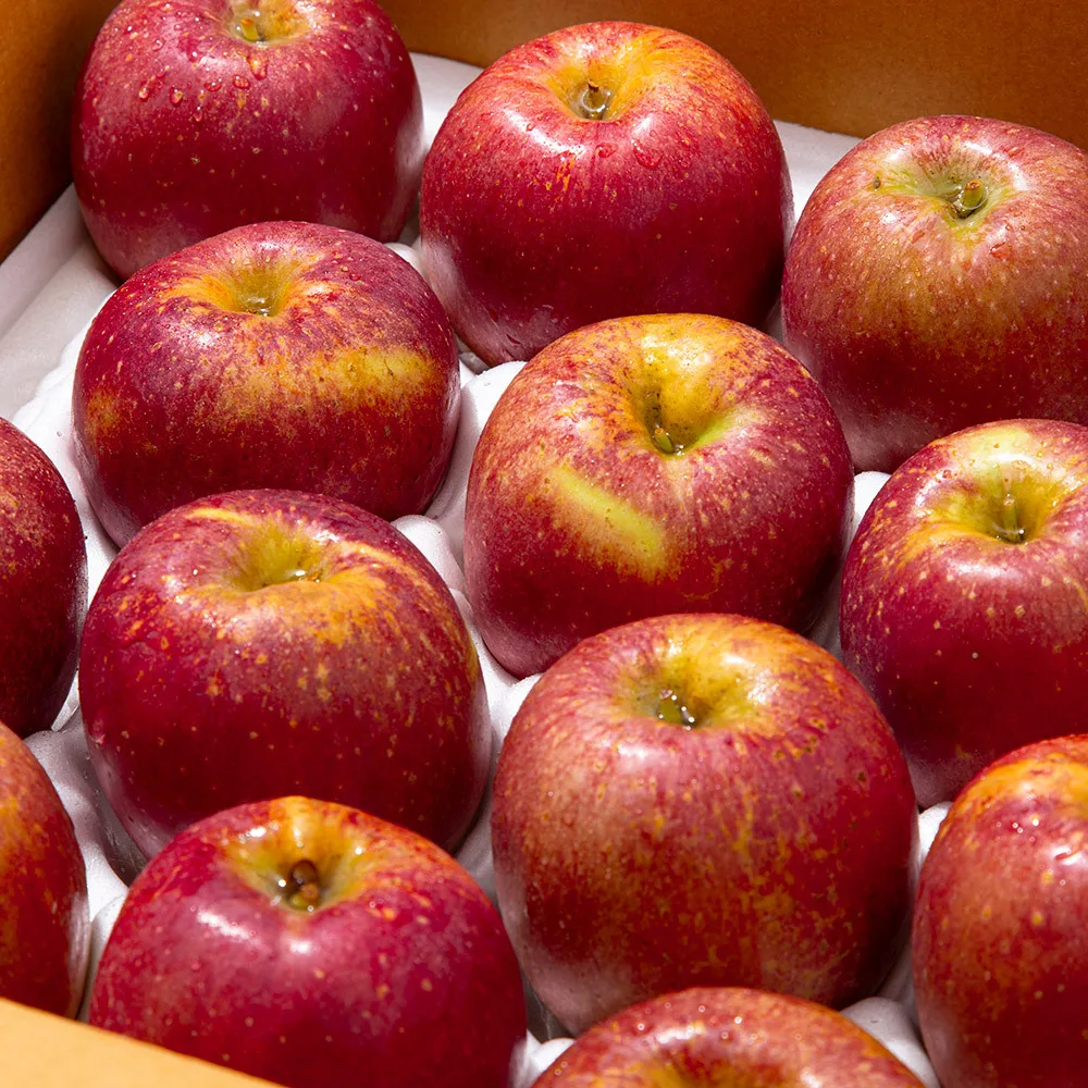 [더조은] 햇사과 경북직송 감홍사과 (가정용) 5kg 17-22과