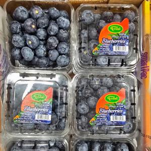 유가네농수산 칠레산 생 블루베리 250g