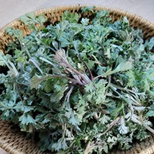 [푸디앤] 해풍맞고 자란 거문도 자연산 쑥 500g-1kg / 봄내음을 물씬 풍기는 향긋함,건조후에는 목욕제로도 아주 좋은 쑥입니다.