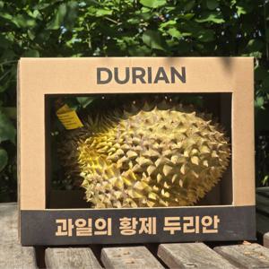 프리미엄 태국 항공직송 몬통 생두리안 통두리안