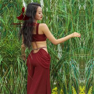 여성 밸리 댄스 댄스 슈트 연습 옷 새로운 섹시 할로우 스플릿 롱 스커트 + 탑 벨리 댄스 세트 슈트