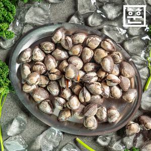 [훈훈수산] 당일조업 국내산 벌교 새꼬막 1kg 산지직송