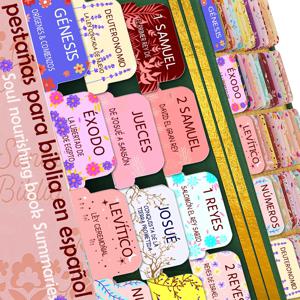 스페인 영혼 영양 도서 요약이 포함된 스페인어 성경 탭 - 껍질과 스틱 대형 인쇄 적층 성경 탭 75개