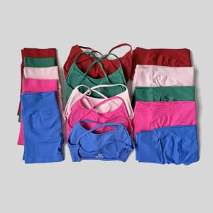 새로운 원활한 반바지 세트 충격 방지 섹시한 백 레스 브래지어 하이 웨이스트 레깅스 통기성 여성의 꽉 끼는 스포츠 체육관 슈트