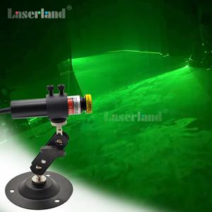 532nm 그린 라인 모듈 레이저 스웜프 레이저 연못 유령의 집 정원 장식용