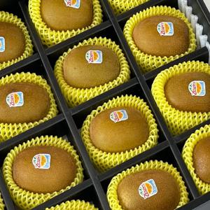 프리미엄 [백납과] 추석 골드키위 선물세트 1호 2호