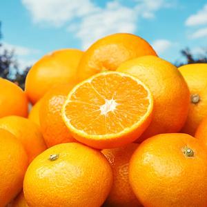 [푸디앤] 제주 타이백 감귤 (2.5kg~9kg)