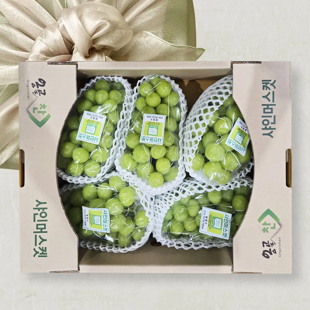(10%코인)경북 김천 고당도 샤인머스켓  선물세트 특품 4kg내외 (4-5수)