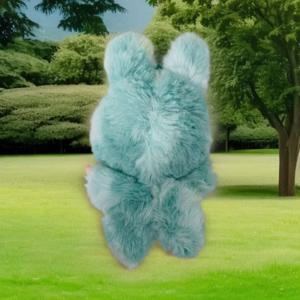 V1 v2 v3 부부 비닐 블라인드 박스 플러시 펜던트 부활절 선물 크리스마스 선물 플러시 인형 키체인 가방 장식