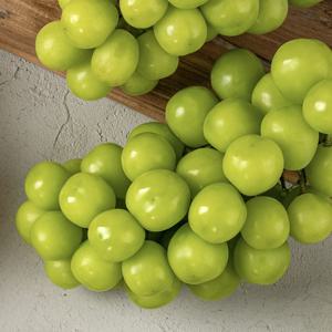 [우연팜] 국내산 포도 김천 샤인머스켓 1kg 2송이