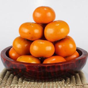 달콤아삭 경남단감 당도보장 10kg 중과대과정품혼합 오전 9시이전 주문시 당일수확배송 (포장제 포함무게)