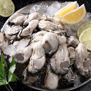 쵱선생 (신선집중) 통영 생굴 2kg (1kgX2팩) 햇굴 산지직송 초회소스 증정