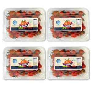 (신선집중) 생생스토리 스테비아 대추 방울 토망고 500gX4팩