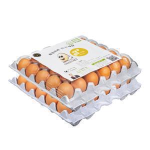 (신선집중) 닥터안스에그 햇달걀 60구 /중란 무항생제 계란 / 무료배송 하루특가