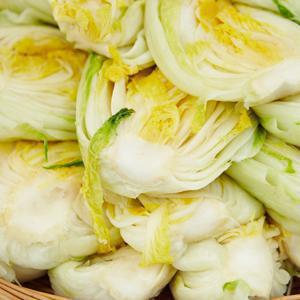 (신선집중) 속이 꽉 찬 아삭아삭 절임배추 20kg (7~10포기) 산지직송