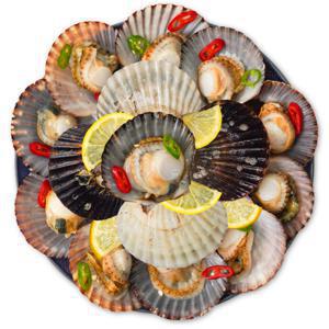 (신선집중) 통영산 통통 흑백가리비 2kg 40미 내외/꽃게살 맛의 역대급 가리비/2개이상 구매시 초장증정