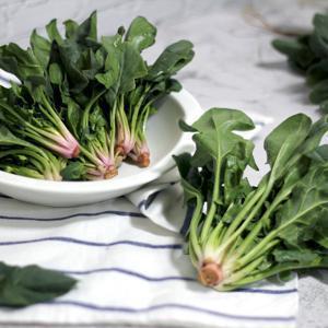 시금치 남해 보물섬 노지 시금치 1kg